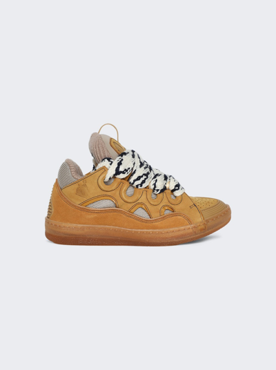 Shop Lanvin Curb Sneakers In Honey