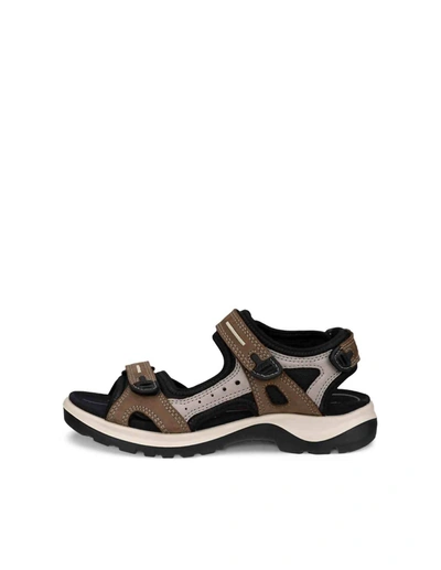 Shop Ecco Women's Yucatan Sandal In Birch In Grey