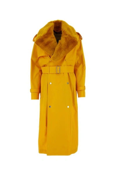 Shop Burberry Woman Trench Kennington In Cotone Giallo In Yellow