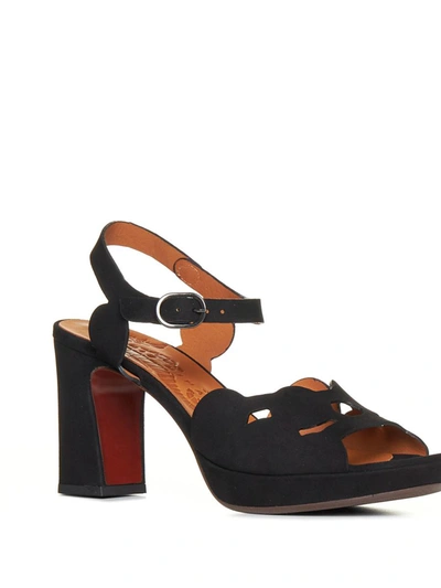 Shop Chie Mihara Sandals In Ante Negro
