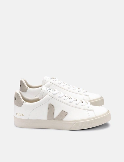 Shop Veja Campo (chrome Free) Trainers In White