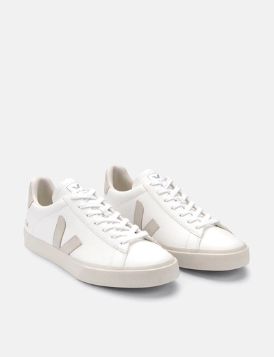 Shop Veja Campo (chrome Free) Trainers In White