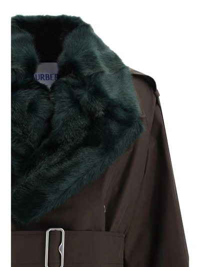 Shop Burberry Coats In Otter