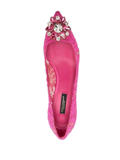 Shop Dolce & Gabbana Charmant Lace Pumps Shoes In Pink &amp; Purple
