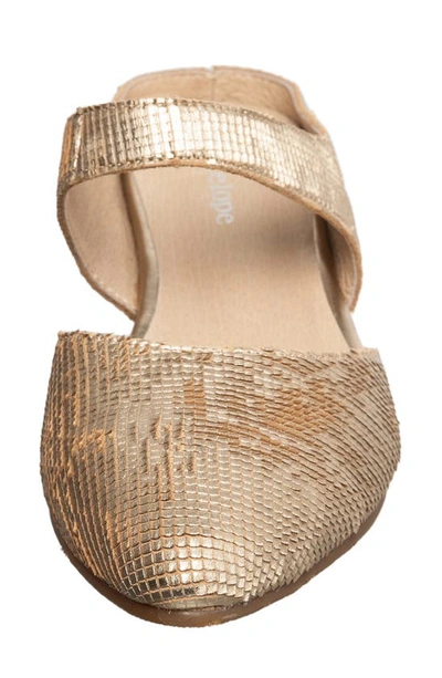 Shop Antelope Leeza Mule In Gold Leather
