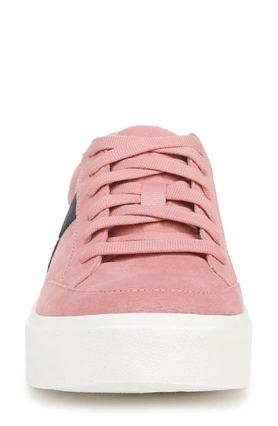 Shop Dr. Scholl's Madison Lace Platform Sneaker In Pink