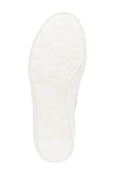 Dr. Scholl's Madison Lace Platform Sneaker In Pink
