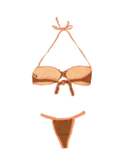 Shop Akoia Swim Beachwear & Bikinis In Chocolate/coral
