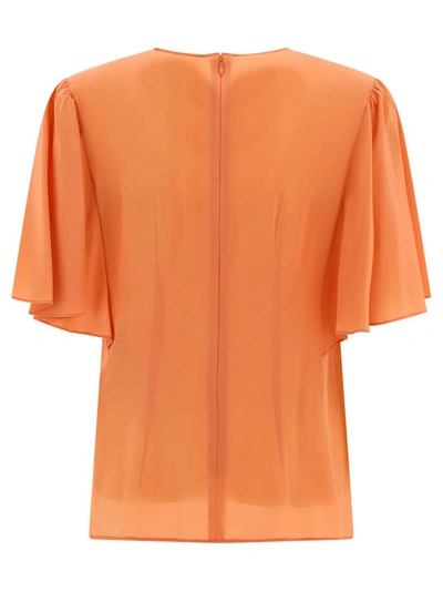 Shop Chloé Wing Sleeve Top In Pink