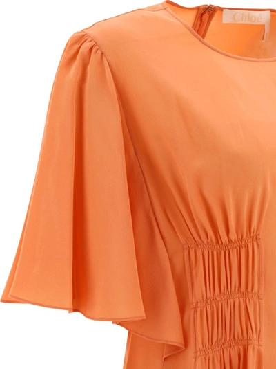 Shop Chloé Wing Sleeve Top In Pink