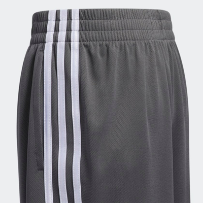 Shop Adidas Originals Kids' Adidas Classic 3-stripes Shorts (extended Size) In Black