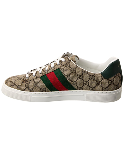 Shop Gucci Ace Web Gg Supreme Canvas & Leather Sneaker In Green