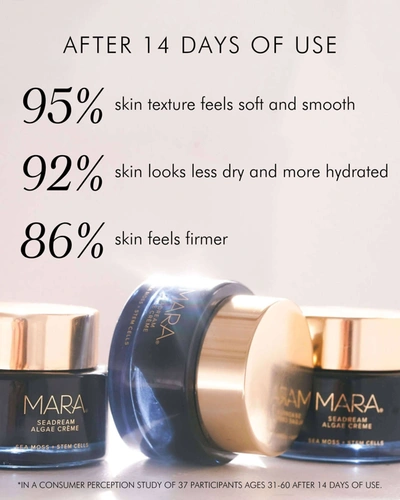 Shop Mara Sea Moss + Stem Cells Seadream Firming Algae Créme Moisturizer