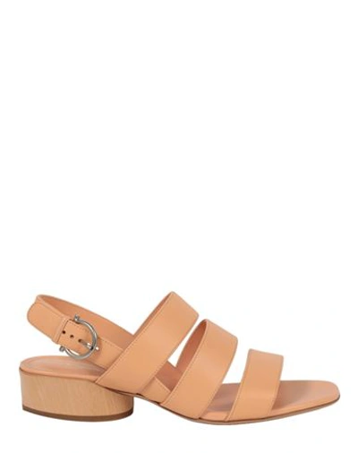 Shop Ferragamo Trezze 30 Sandal Woman Sandals Beige Size 7.5 Calfskin