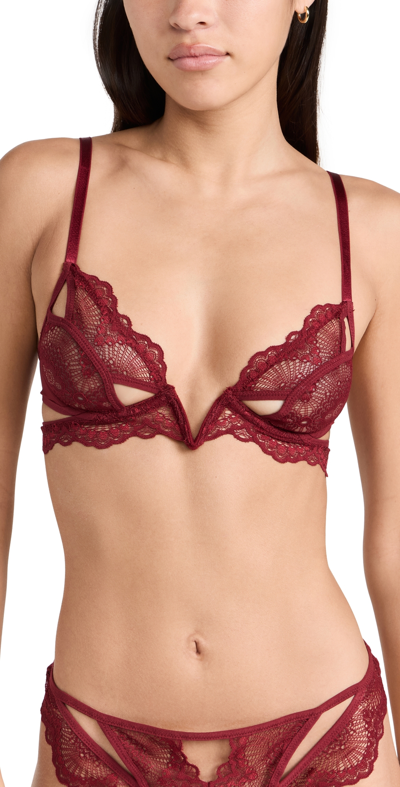 Shop Thistle And Spire Kane V Wire Bra Ruby