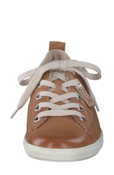 Shop Paul Green Reese Sneaker In Cuoio Biscuit Combo
