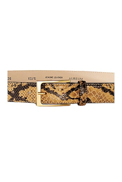 Shop Aureum Snake Embossed Belt