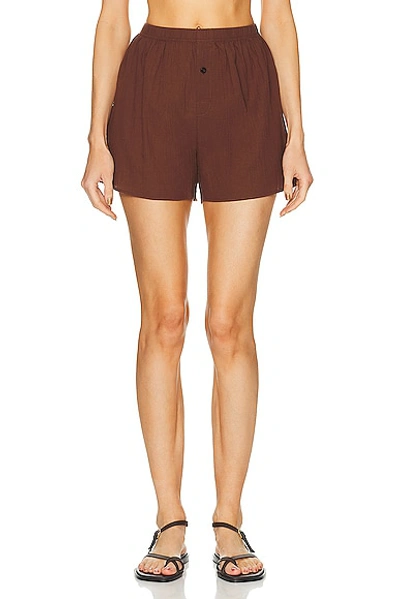 Shop Éterne Dylan Boxer Short In Chocolate