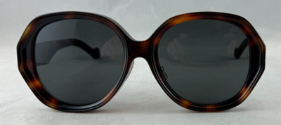 Pre-owned Loewe Lw40080u Lw 40080u 52a Tortoise Brown Sunglasses