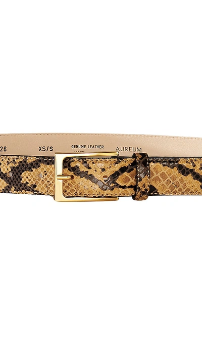 Shop Aureum Snake Embossed Belt In Brown