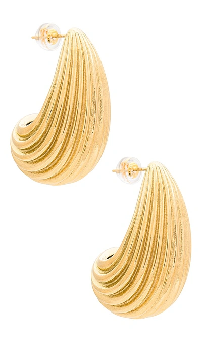 Shop Amber Sceats Ribbed Hoop Earring In Metallic Gold