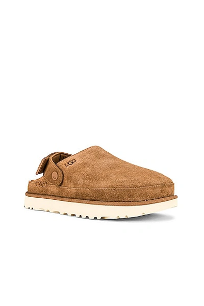 Ugg Goldenstar Clog In Chestnut