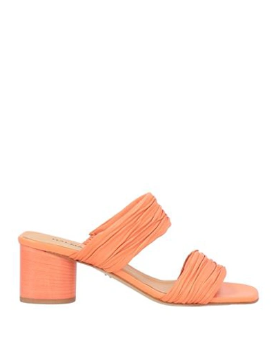 Shop Halmanera Woman Sandals Orange Size 5 Soft Leather