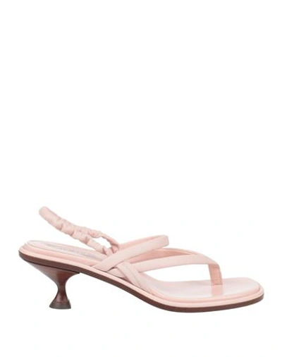 Shop Tod's Woman Thong Sandal Light Pink Size 8 Leather