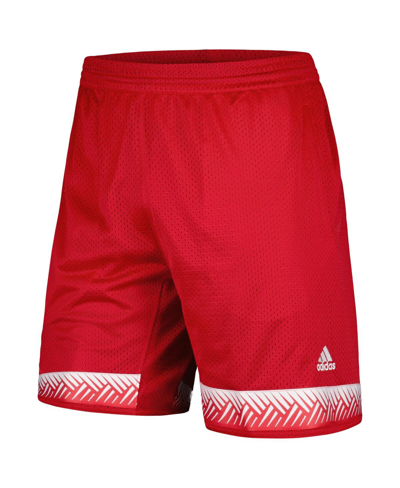 Shop Adidas Originals Men's Adidas Scarlet Nebraska Huskers Swingman Replica Basketball Shorts