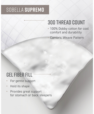 Shop Sobel Westex Sobella Supremo 100% Cotton Face Medium Density Pillow, Queen In White
