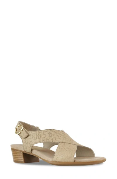 Shop Munro Jenny Sandal In Tan Croc Nubuck