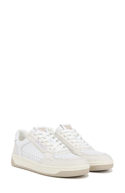 Shop Sam Edelman Harper Sneaker In White/ Sugar