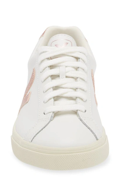 Shop Veja Esplar Sneaker In Extra White Nacre