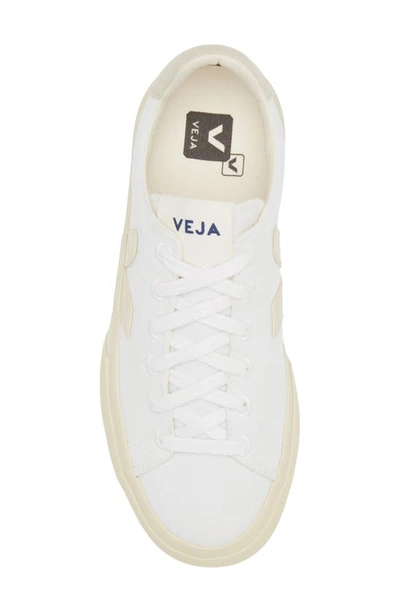 Shop Veja Campo Sneaker In White Pierre