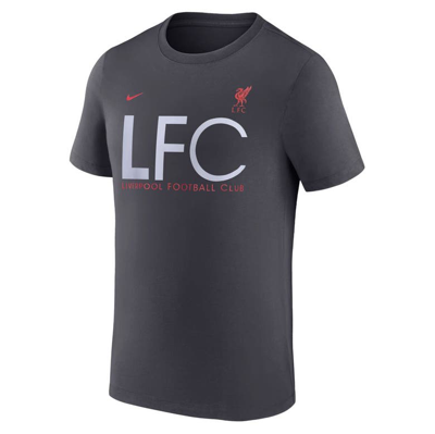 Shop Nike Gray Liverpool Mercurial T-shirt