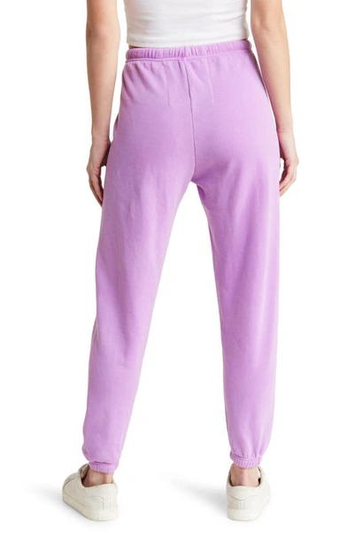 Aviator Nation Logo Jogger Pants In Neon Purple