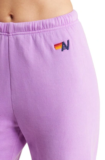 Aviator Nation Logo Jogger Pants In Neon Purple