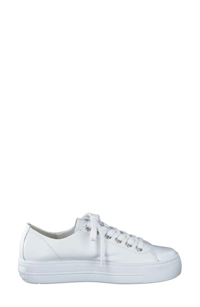 Shop Paul Green Skylar Platform Sneaker In White Leather