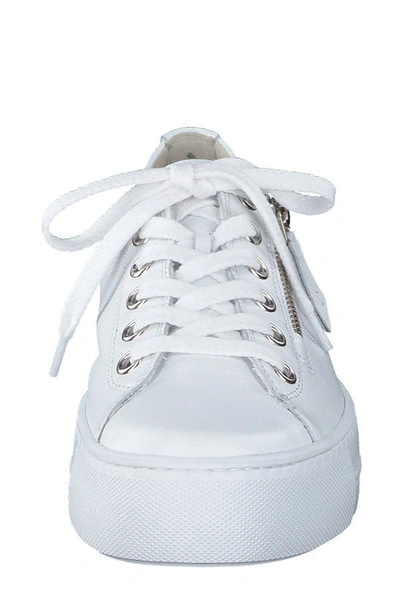 Shop Paul Green Skylar Platform Sneaker In White Leather