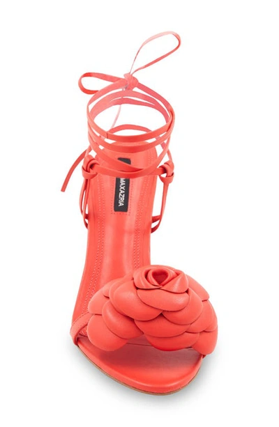 Bcbgmaxazria Tannia Ankle Wrap Sandal In Lava