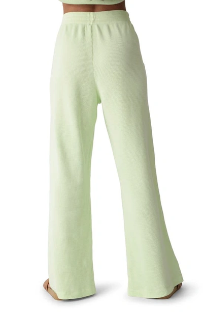 Shop Electric & Rose Tanner Waffle Knit Cotton Lounge Pants In Lime