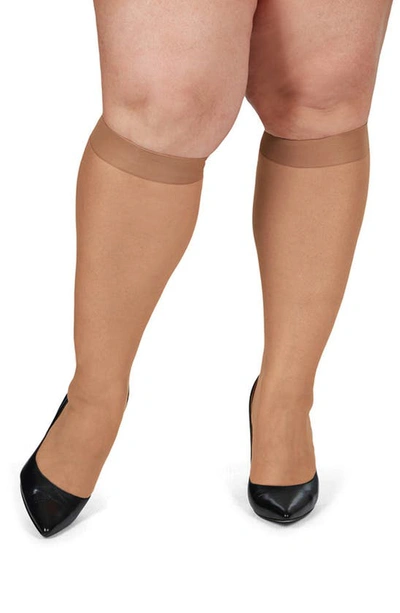 Shop Memoi Silky Sheer Knee High Socks In Honey