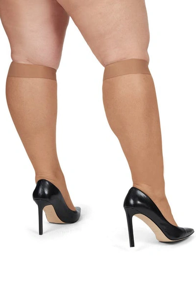 Memoi Silky Sheer Knee High Socks In Honey