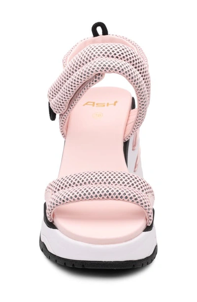 Shop Ash Cosmos Wedge Sandal In New Crystal Rose