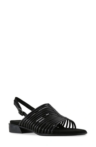 Shop Munro Celia Slingback Sandal In Black