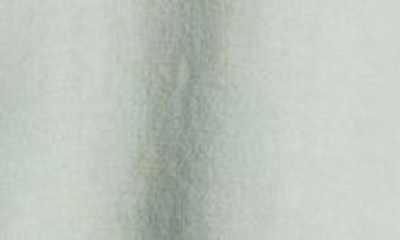 Bella Dahl Shirttail Button-up Shirt In Oasis Green