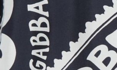 Shop Dolce & Gabbana Dolce&gabbana Marina Print Silk Twill Button-up Shirt In Marina Blue