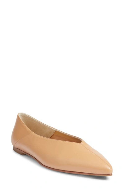 Aeyde Pointed-toe Leather Ballerina In Hazelnut