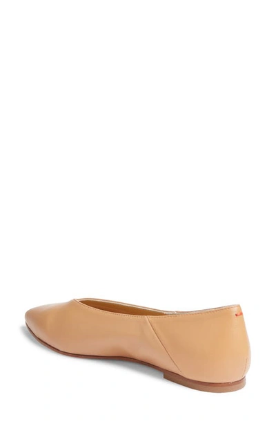 Aeyde Pointed-toe Leather Ballerina In Hazelnut
