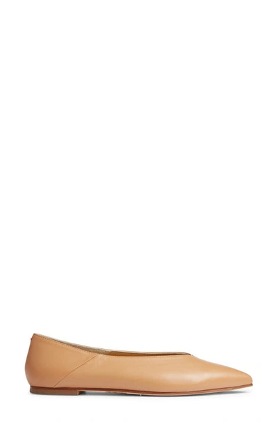 Aeyde Pointed-toe Leather Ballerina In Hazelnut